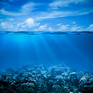the benefits of sea water humer